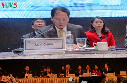First APEC Senior Officials Meeting opens in Nha Trang - ảnh 2